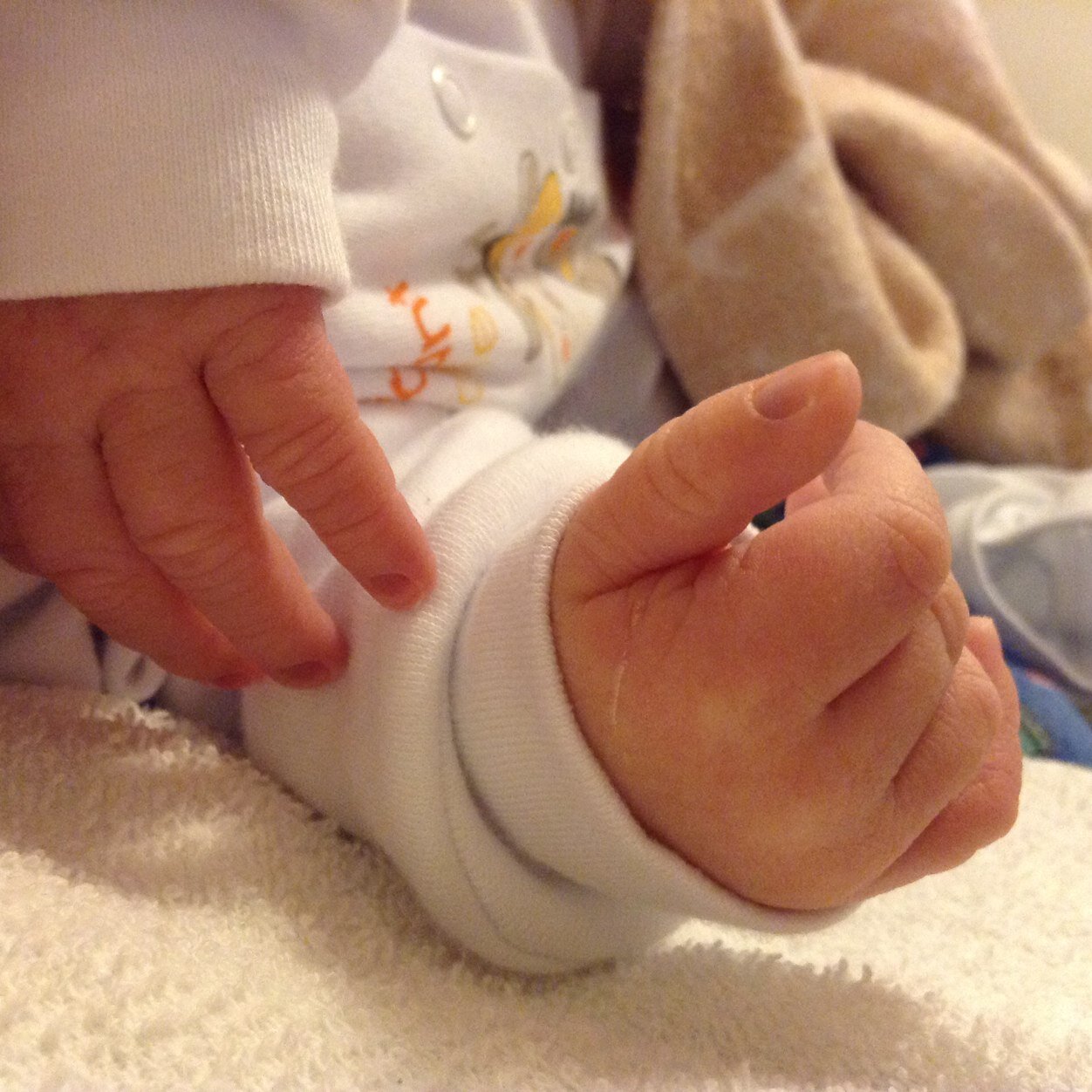 sosarev's profile picture. 