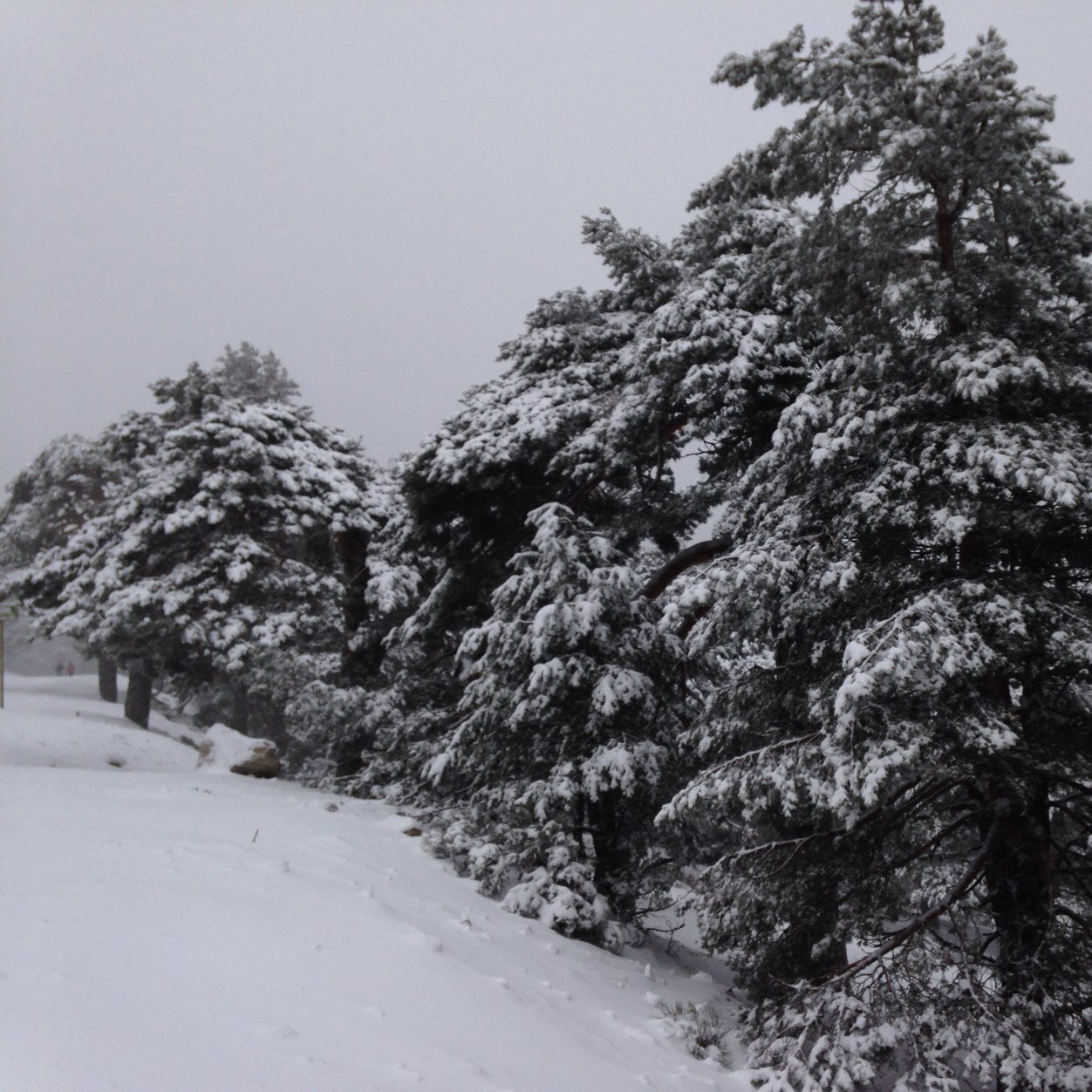 MeteoEspa's profile picture. 