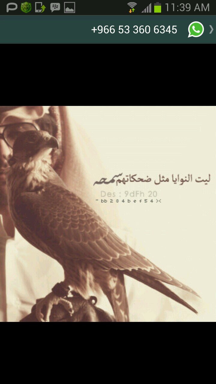 ‏لَآ تٌـبًکْيِ. عٌلَيِ مًآ مًضًـىء  بًآلَآمًسِـ.فُـآبًنِيِ.، سِـعٌآدٍة.آلَمًسِـتٌـقُبًلَ