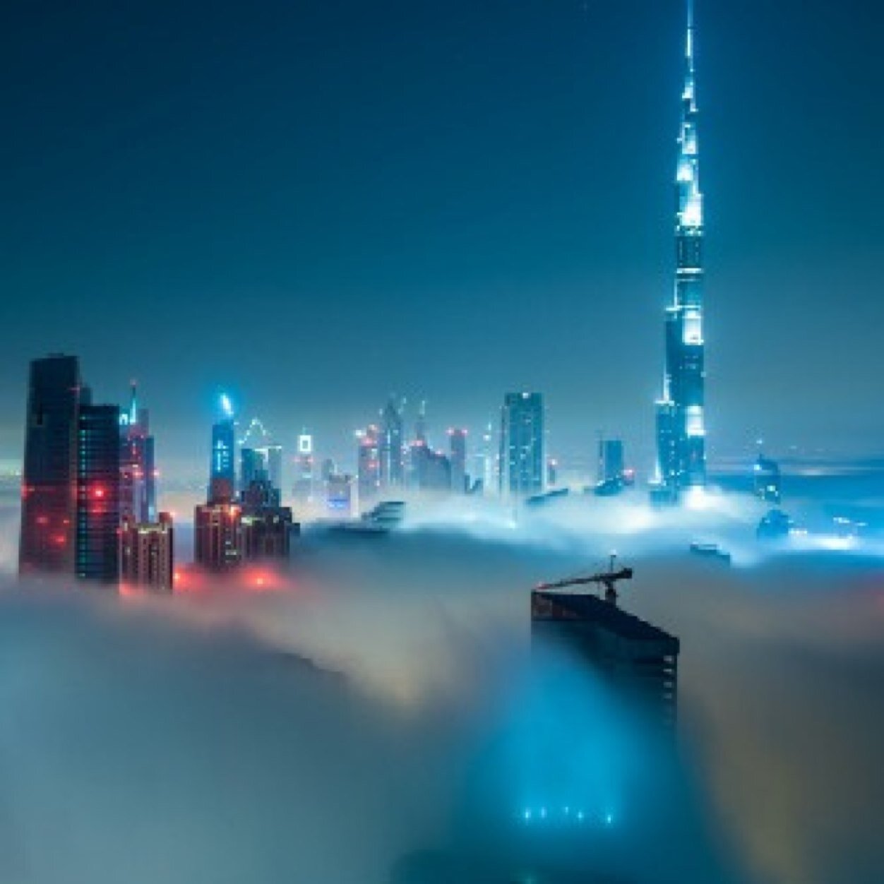 my__dubai's profile picture. 