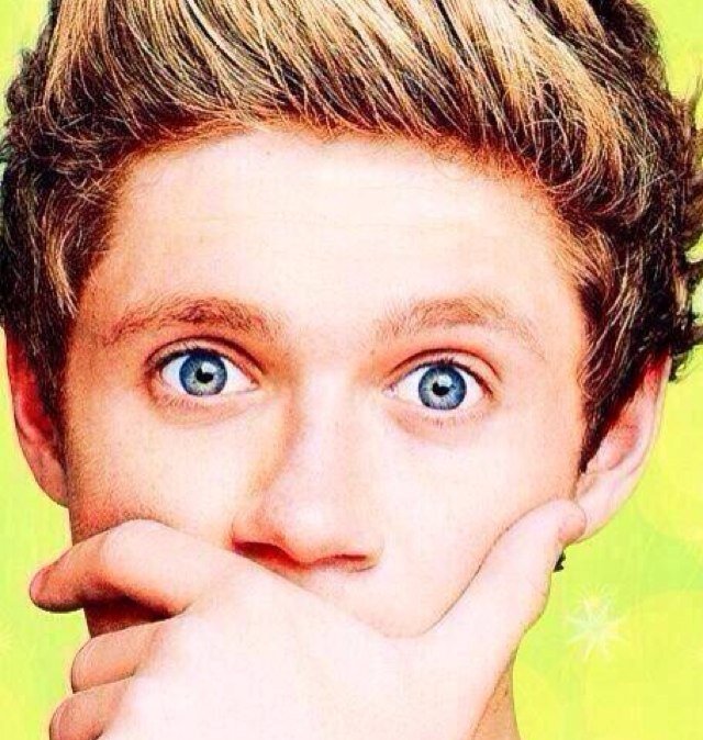 I love @NiallOfficial and I could not live without his voice, his hair, his eyes... *-*