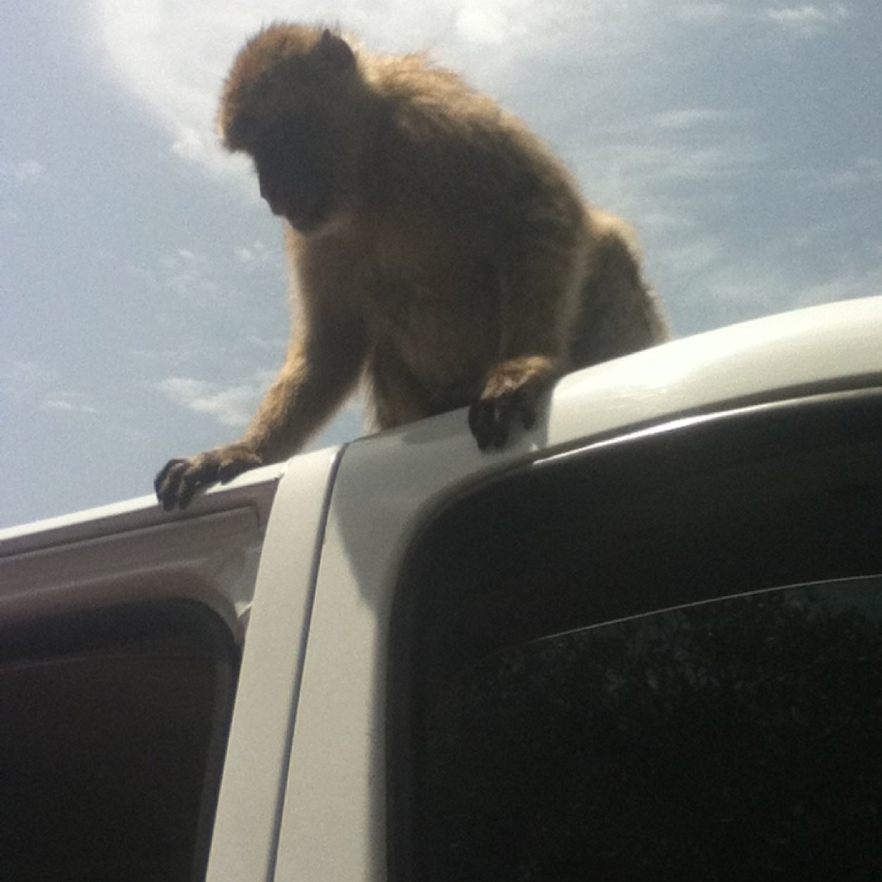 AL2000FL's profile picture. 