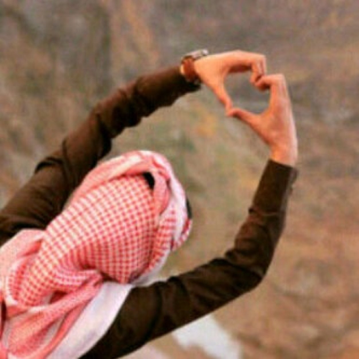 فولومي#فولوباك