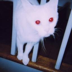 Diamens's profile picture. 