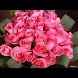 ڷسټ-أٵڦڞڷ-مڽ ڠيرێ-ۈڸڰڹےٲمڷڰ-ڦنآعۀ-عڊم مڨآرڻۀ-ڹڣسے-پأحڍ