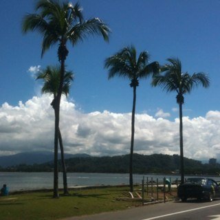 maychimy's profile picture. マレーシアに１１年住んでいましたが、今年から日本に住むことになりました。何か私とビジネスを一緒に始めませんか？今は埼玉在住です。