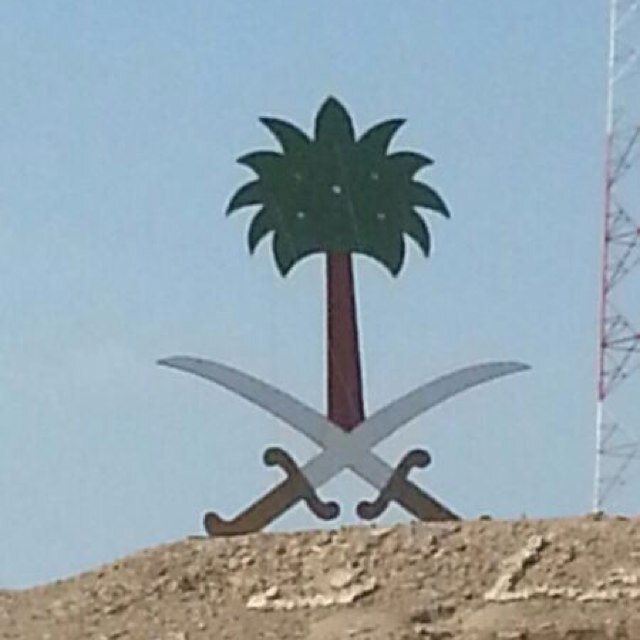 madialimoh Profile Picture