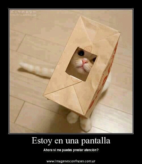 ctarinluque's profile picture. 