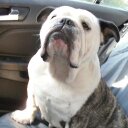 Julie Speight - @ju_speight - Twitter