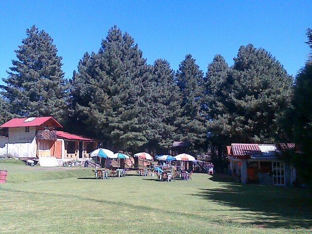 Restaurante de comida mexicana desde 2005, rodeado de la naturaleza, su especialidad la trucha...