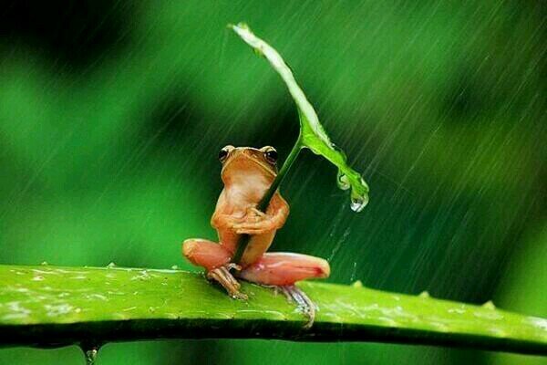 In the cloud when it rains, it pours your data - Unknown