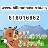 Billene Baserria (@billenebaserria) 's Twitter Profile