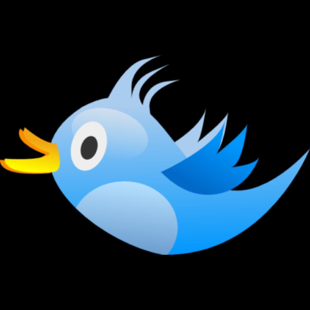 Follow and shoutout!!
Help us get to 2k followers!