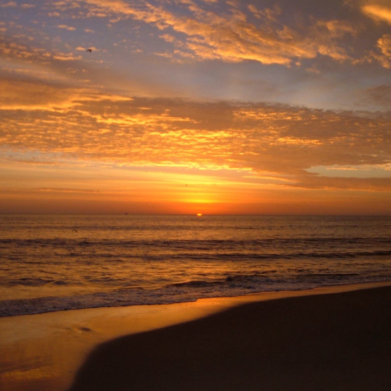 mishelleyb1's profile picture. 