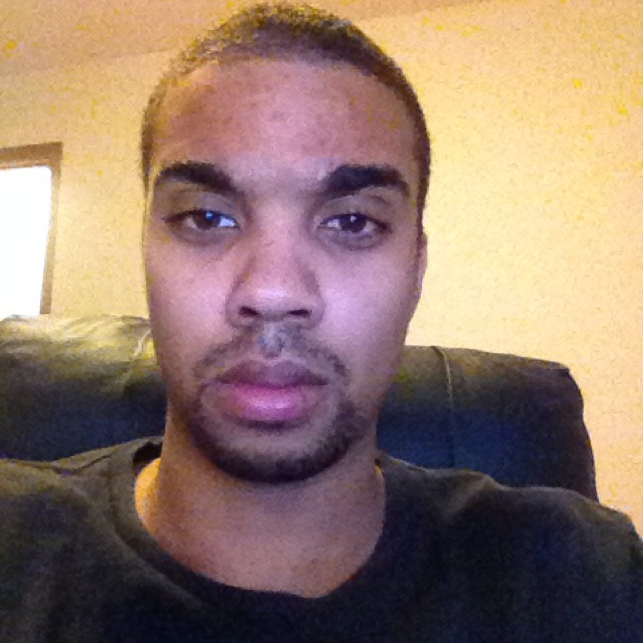 Learning a few coding languages and building a few services.