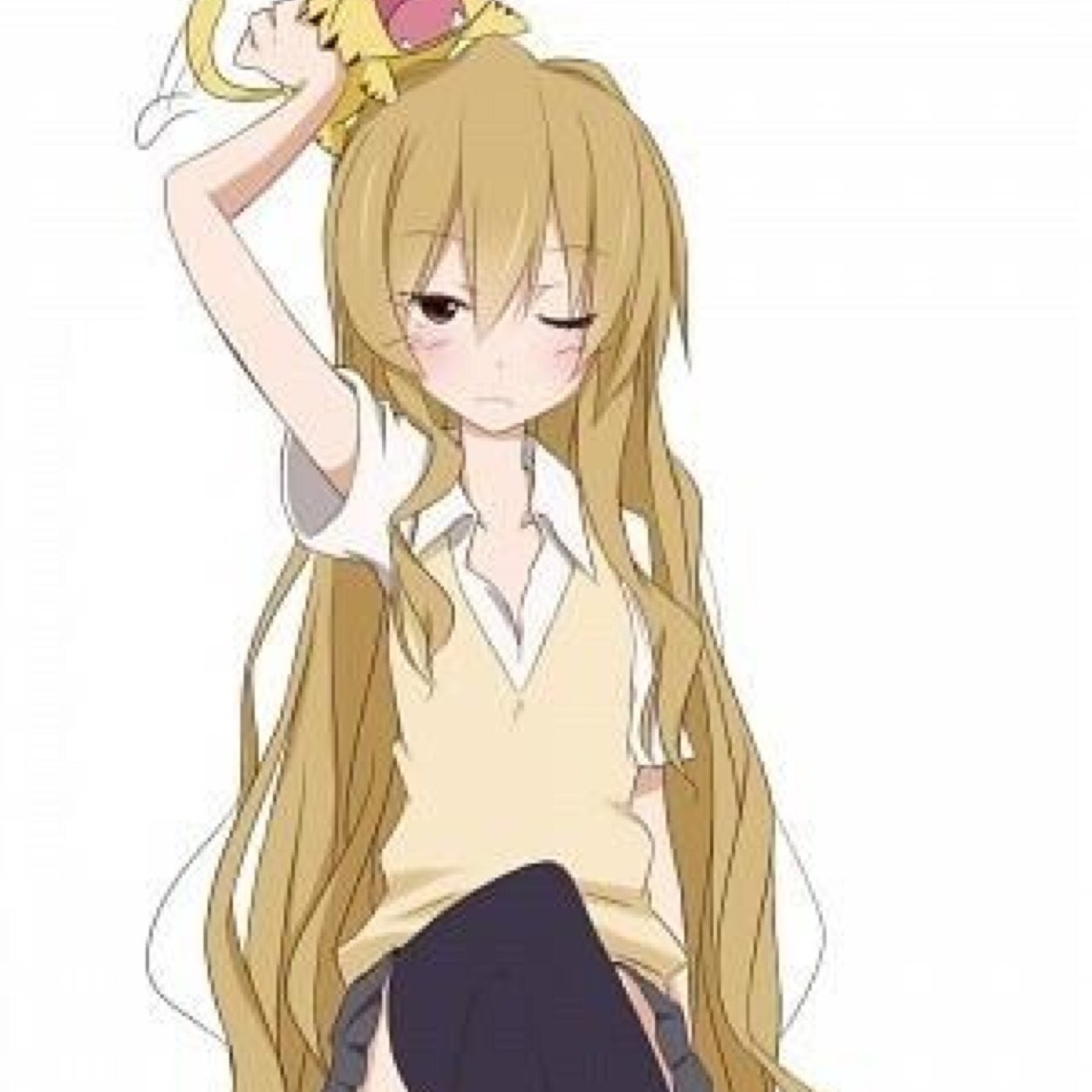 I may be small, but I got a tough fist. They don't call me Palmtop Tiger for nothing. What are you lookin'at!? -[#Toradora||RP18+||Tsundere...~]