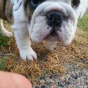 Ivan Oliva - @CyranoSavino - Twitter