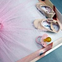 Artis Fraga (@artisfraga) 's Twitter Profile