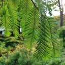 Eric Brown - @ericeb - Twitter