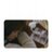 ______Rk____xII's profile image