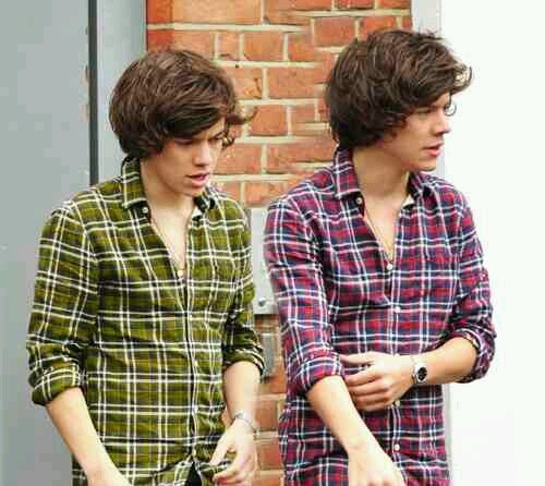 hey i am harry i am a fun guy hey i am edward i am shy 《rp single bi》