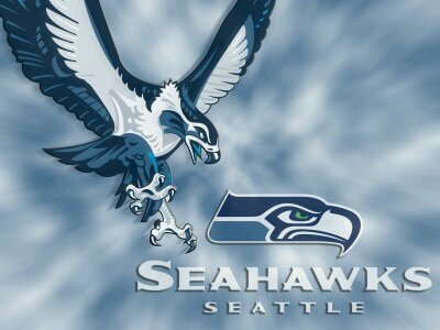 seattle seahawks fan