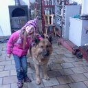 Paul Boles - @paulboles - Twitter