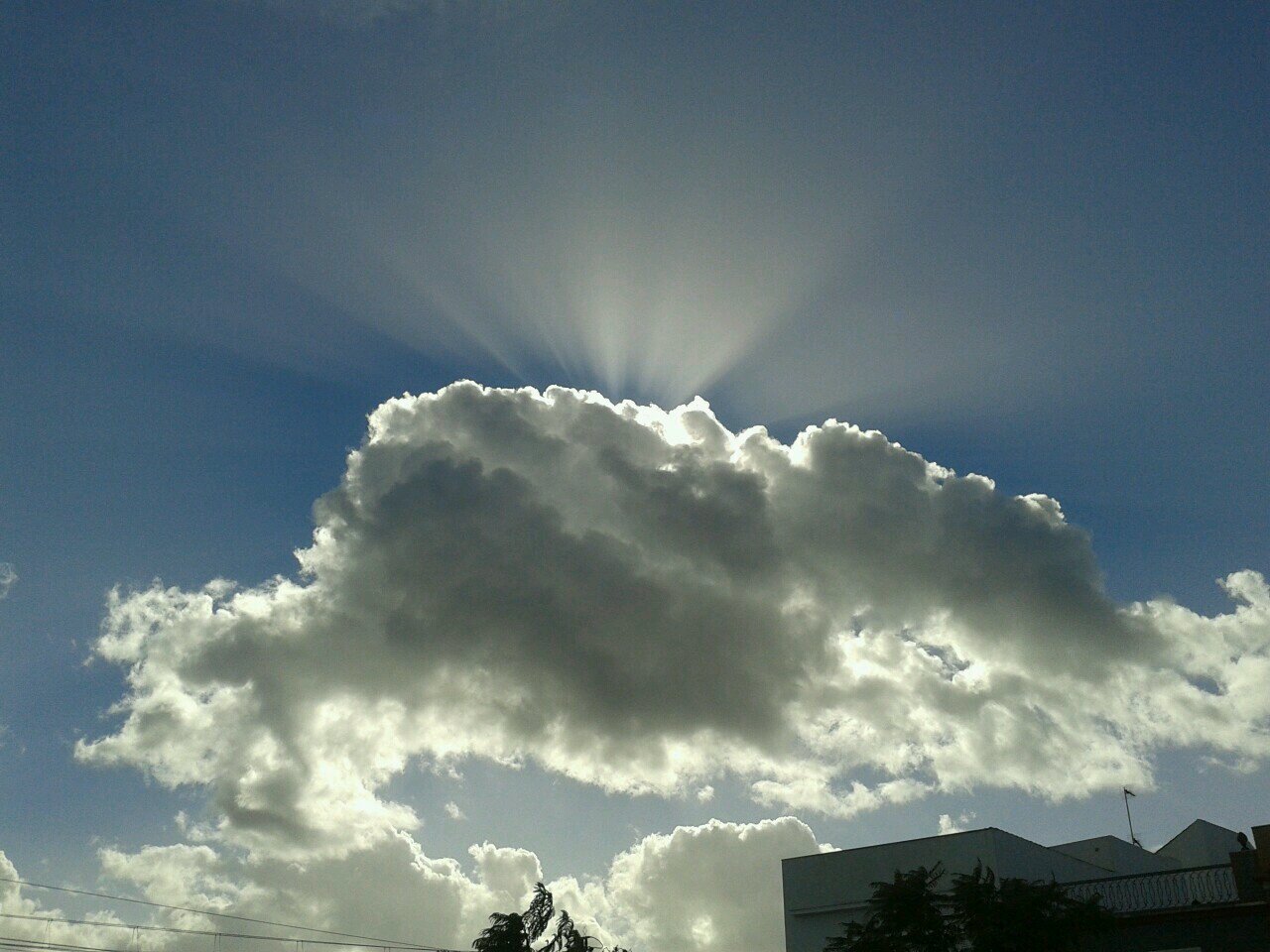 impoverishedrev's profile picture. 