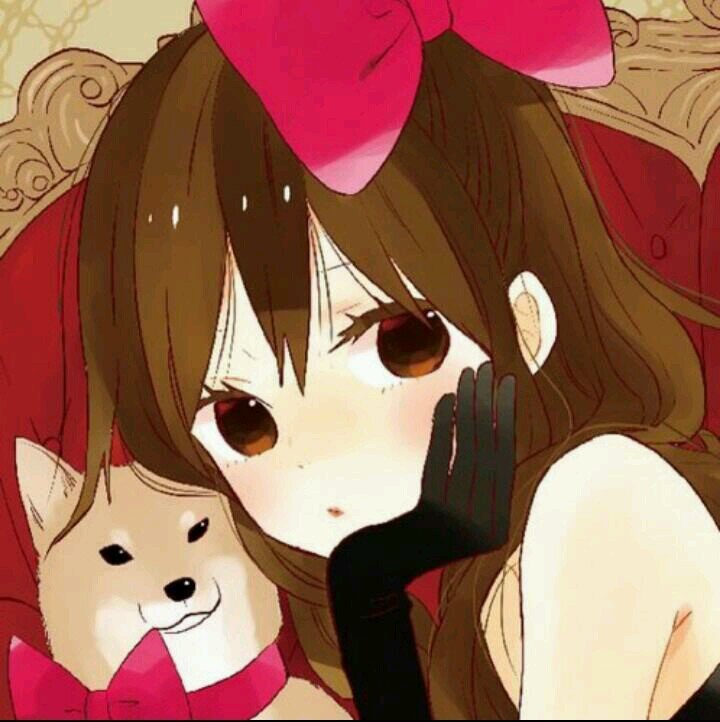 ゆきゃん。さんのプロフィール画像
