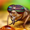 Dave Sutch - @dsutch14 - Twitter