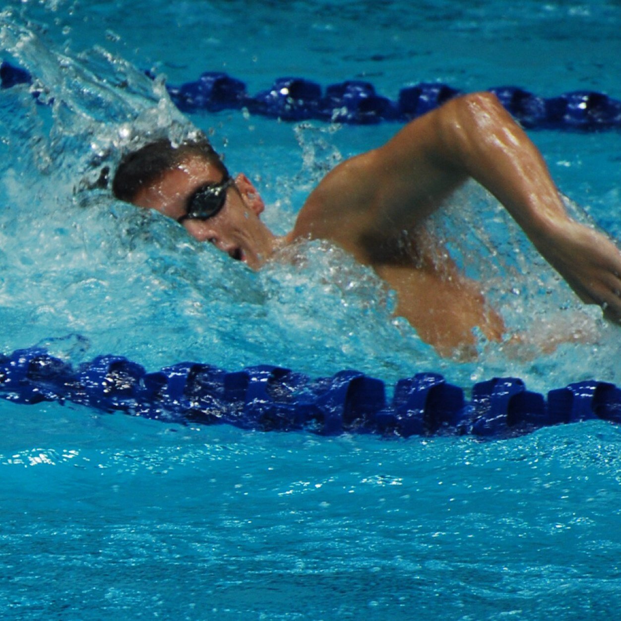 ABCDEF8311's profile picture. 