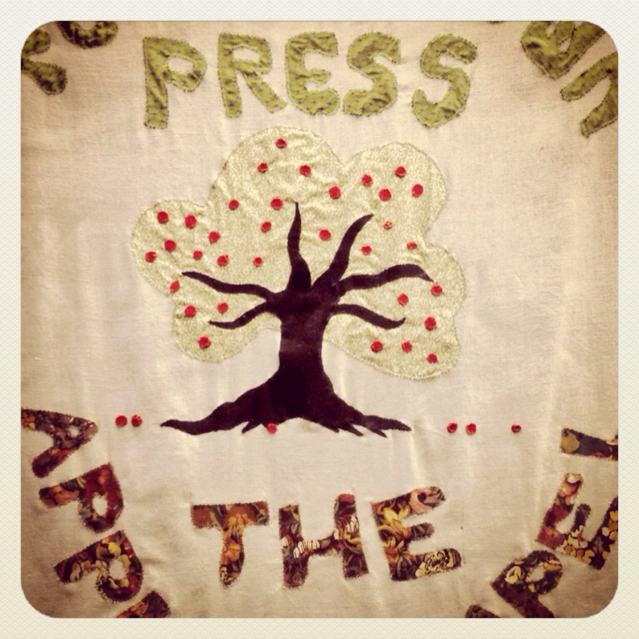 totterdownpress's profile picture. A small scale set-up making real cider from 100% cider apple juice.