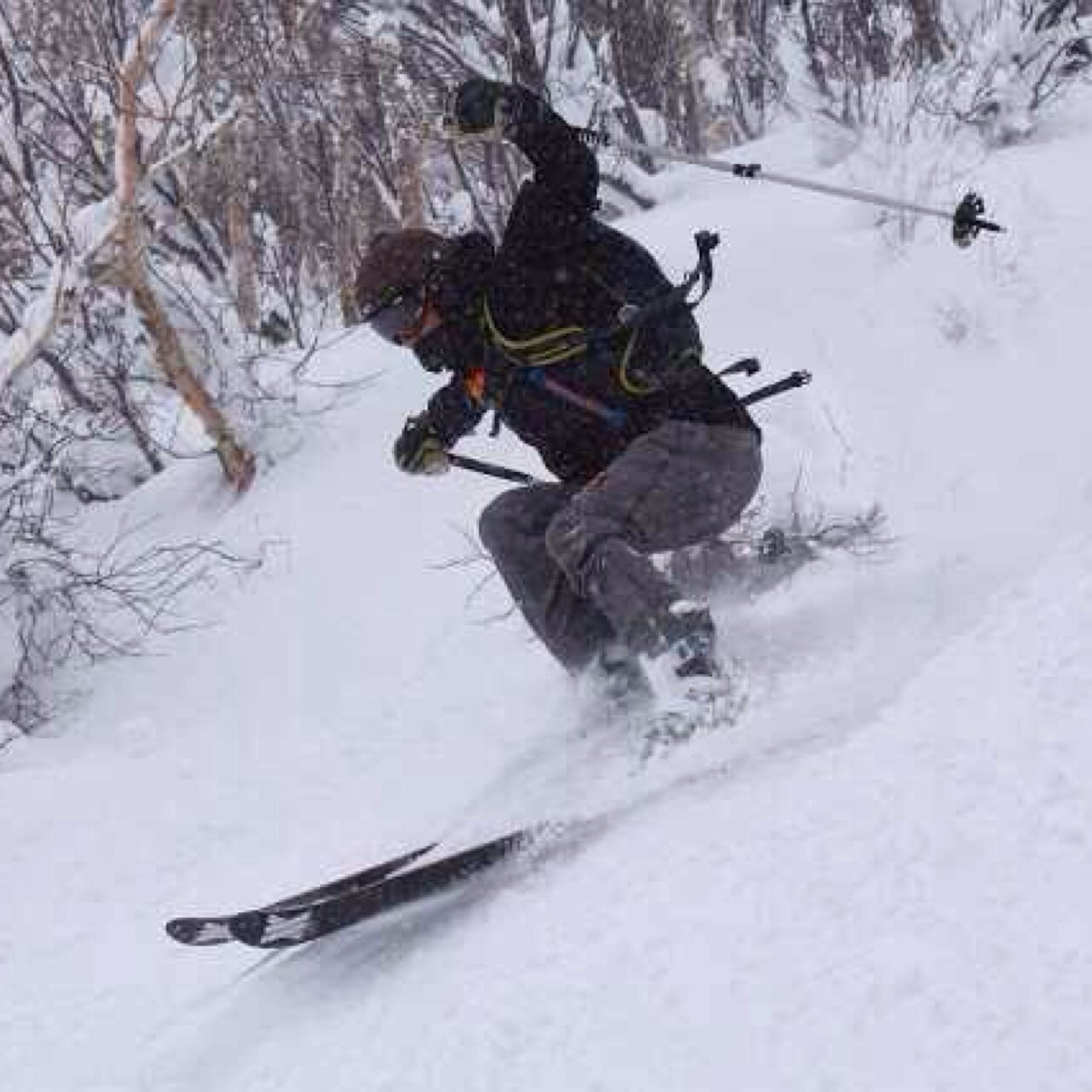 Zekkei1969's profile picture. Property Industry-loves skiing,surfing,fast boats and surfing