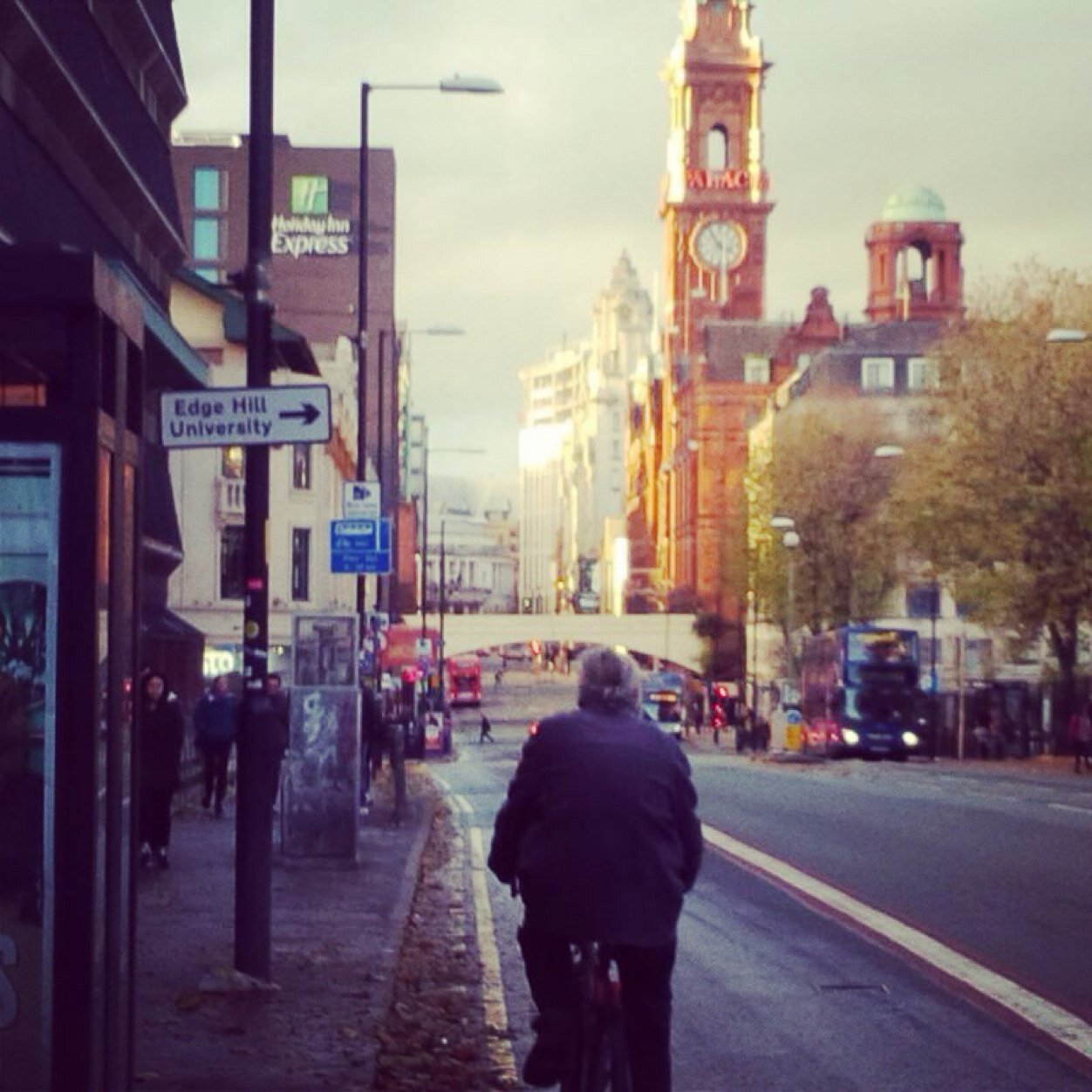 ec_lectic's profile picture. 