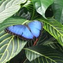 Heather Senn - @HeatherSenn1 - Twitter