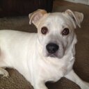 Jenny Roach - @JenFolds5 - Twitter