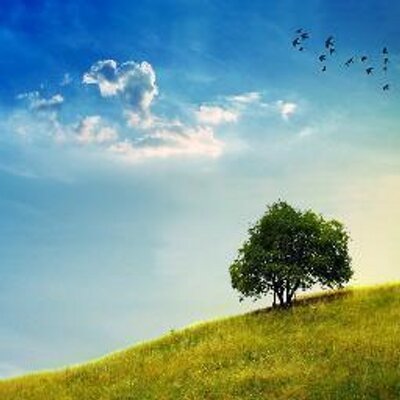 Paisajes del mundo - Kmv Venezuela cultura universal y costumbres 2 Paisajes Naturales (@Paisaje_Natural) / Twitter