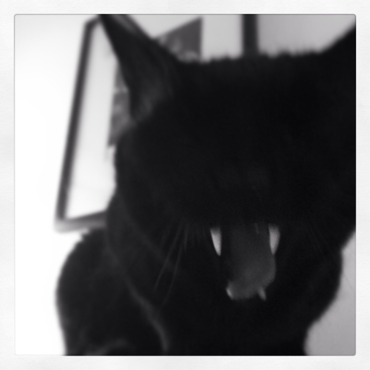 MariBKNY's profile picture. Yarn Wrangler. Graphic Designer. Crafter. Camera Operator.