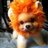 SoMuchAww's profile image