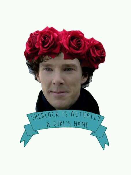 deadunicornass's profile picture. #нарикбезнариков #мертвыйдельфин #люблюсвиней #люблюлам #хы