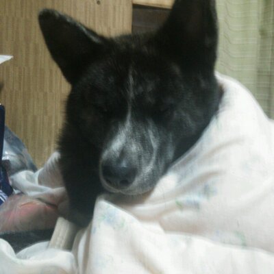なめだるま 驚愕 Mステ出演禁止歌手一覧が とんでもないwww 知ってた 詳細 Http T Co Vubvvy3vjy Mステまじかよ Http T Co Ofexda2yvy なめだるま 驚愕 Mステ出演禁止歌手一覧が とんでもないwww 知ってた 詳細 Http T Co Vubvvy3vjy Mステまじかよ Http T Co Ofexda2yvy