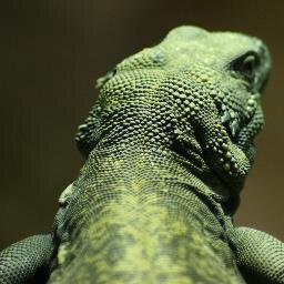 97_willis's profile picture. 