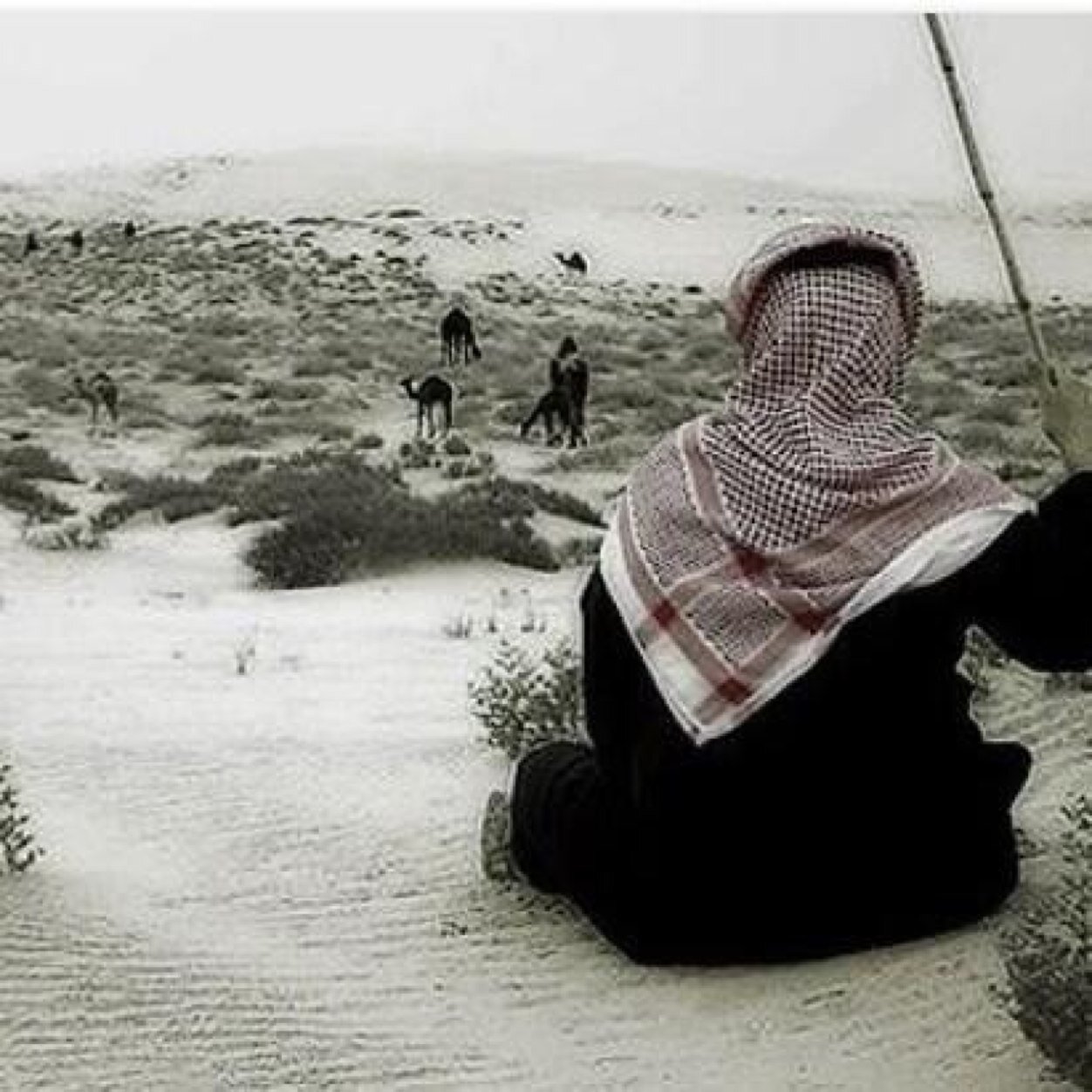 اتمنى زيارة المفضلة وأعمل رتويت وأبشر بالرتويت : 

http://t.co/zMXFlZCceP