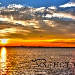Media studio owner, Aerial Photographer, Event photography, product  photographer