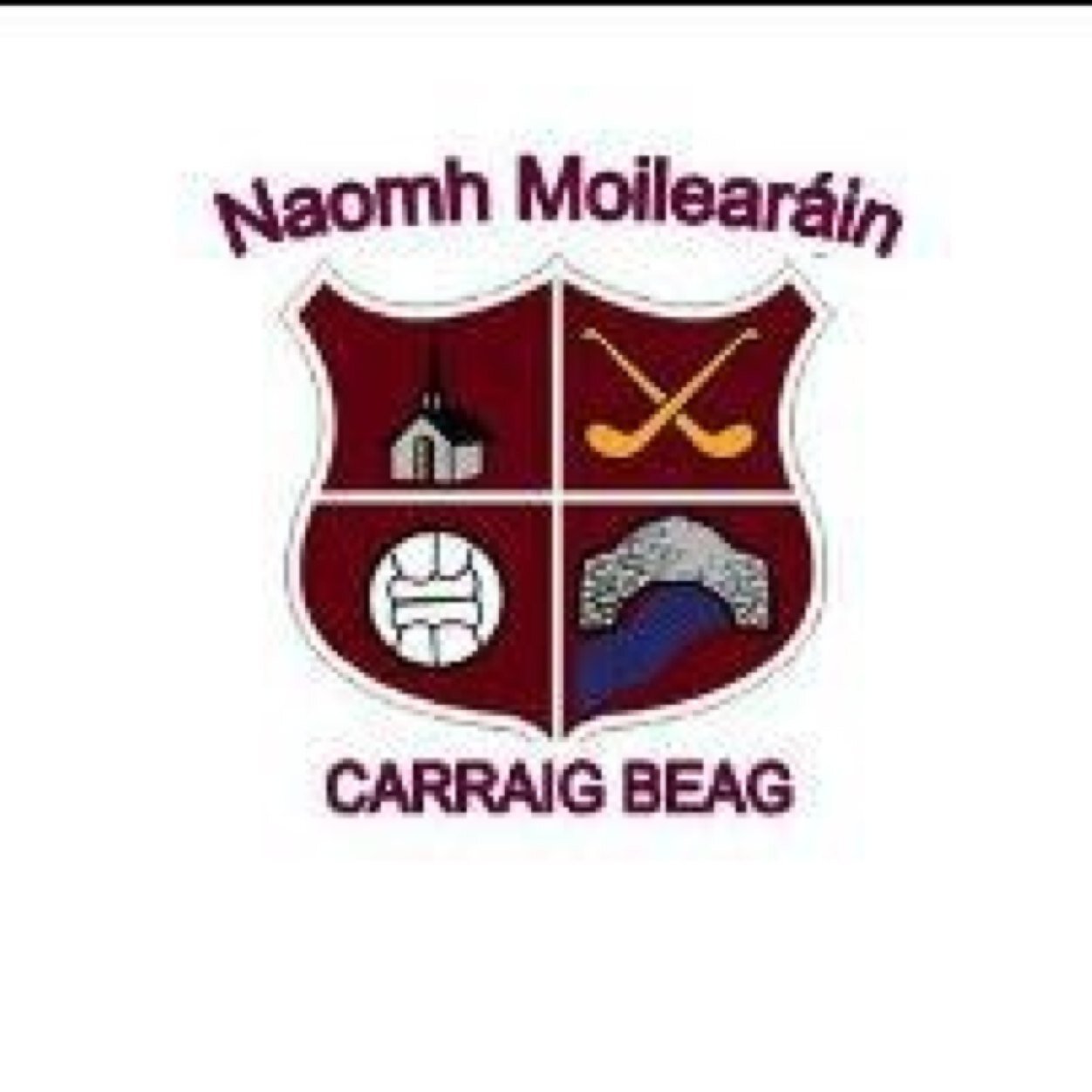 Welcome to the official Twitter account of #StMolleransGAAClub ✨