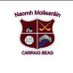 St. Mollerans GAA Club (@stmolleransgaa) Twitter profile photo St. Mollerans GAA Club (@stmolleransgaa) Twitter profile photo
