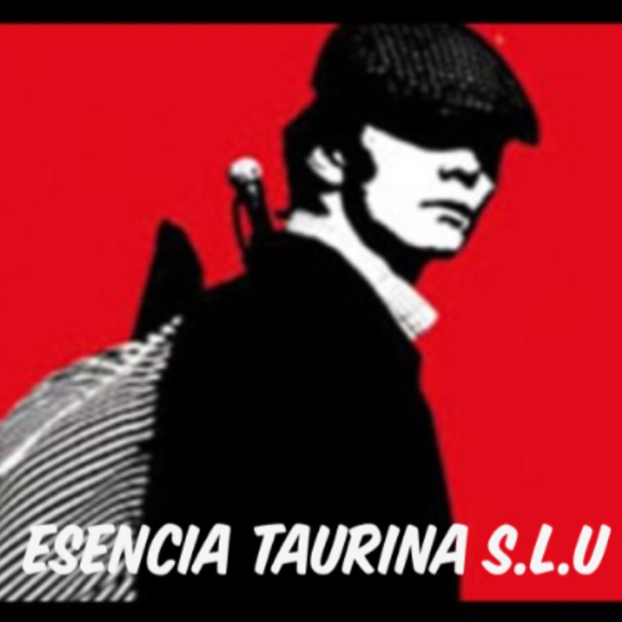 Empresa taurina. Organizacion de espectaculos taurinos Corridas de toros, novilladas, rejones, festivales , capeas, recortes....