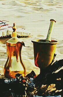 gftjbjvh's profile picture. 