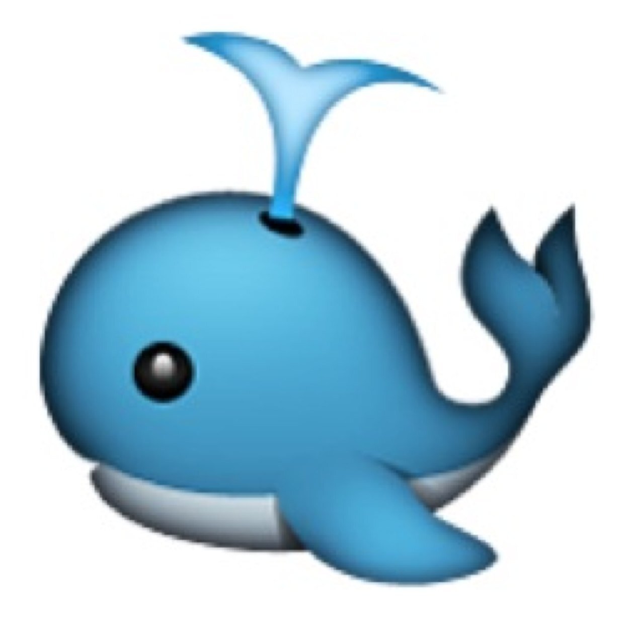 Oh__Whale's profile picture. The official #OhWhale account. dm me anything that happens to you that makes you say oh whale!