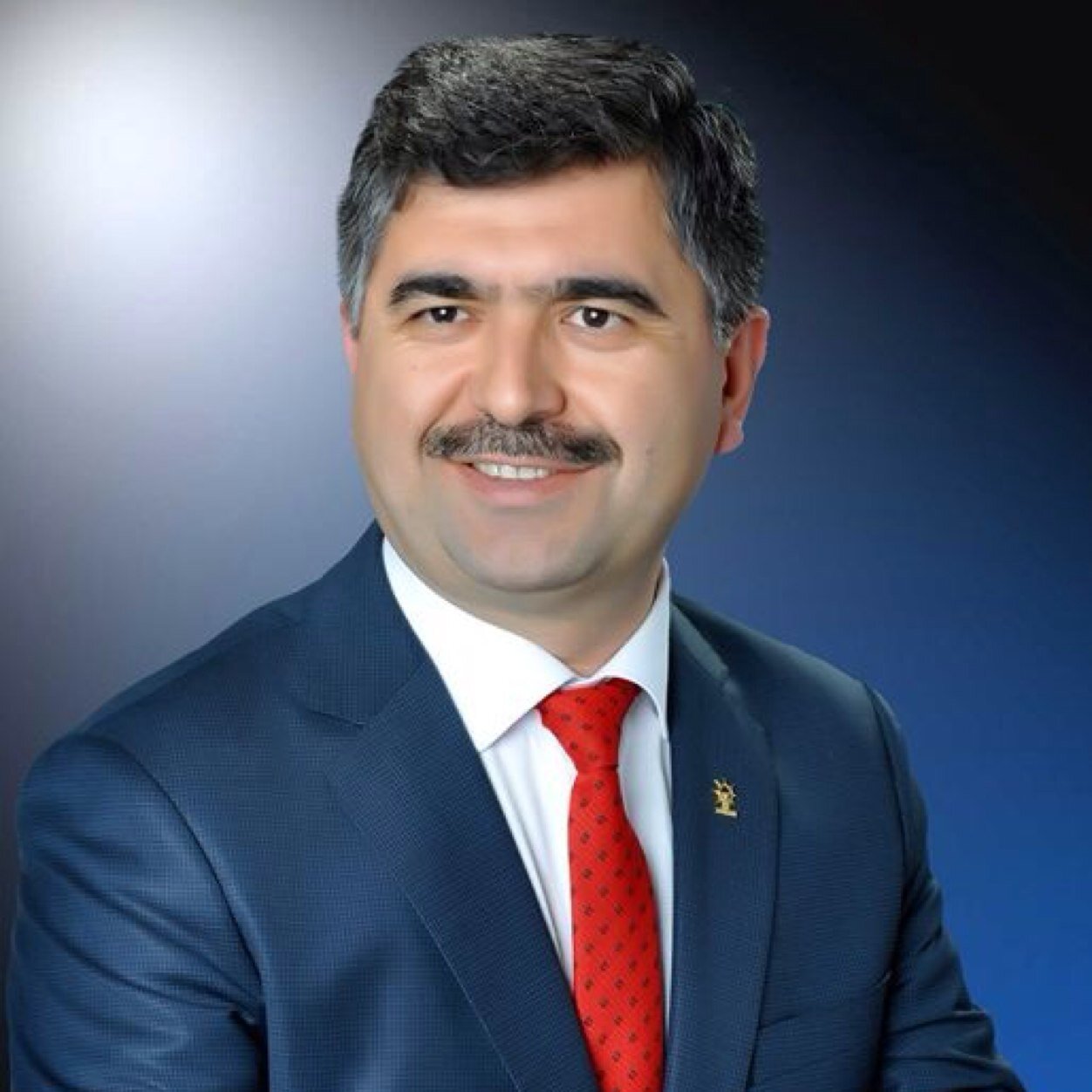 Mali Müşavir